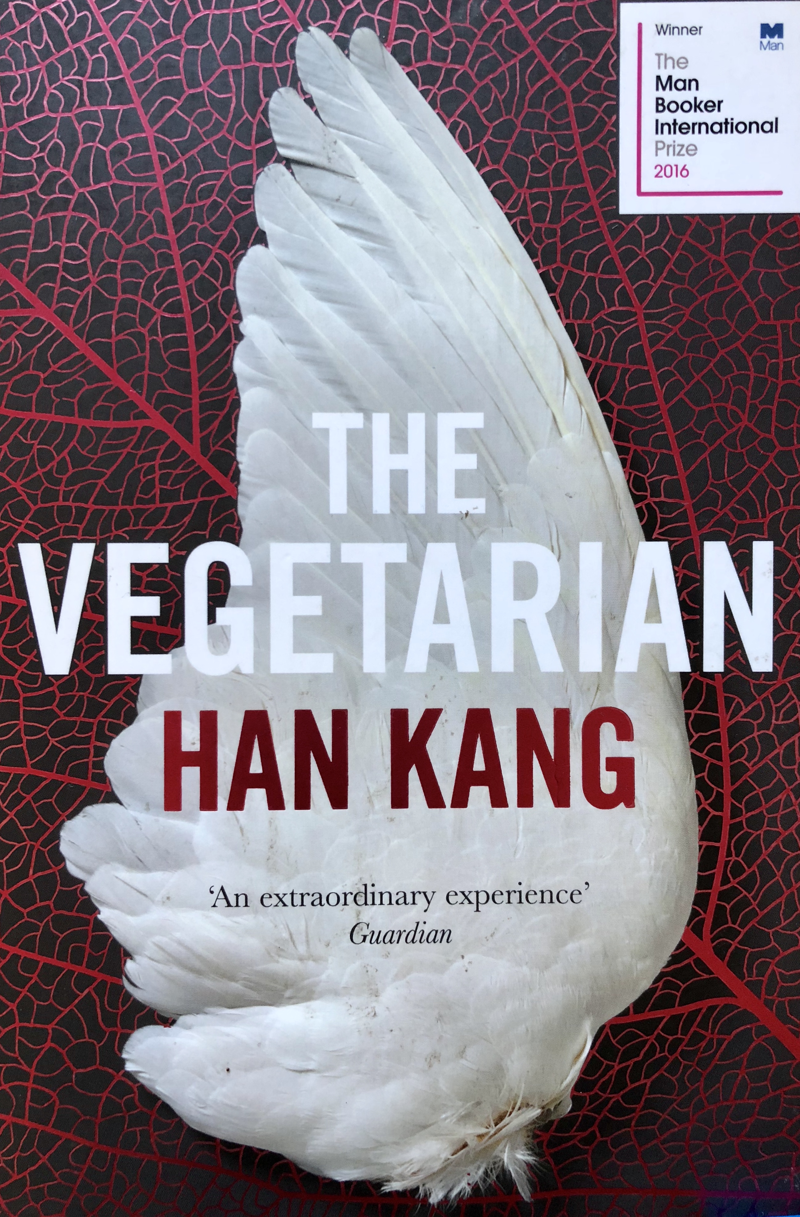 StoryFusion Podcast 01: Han Kang - The Vegetarian - StoryFusion